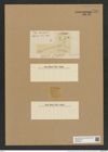 Chaetoceros tetrachaeta Ehr. (de-Toni-Nr.: Genus 149, Species 4147) Zeichnungen Sammlung Grunow Nr. 7705 (NHMW-BOT-W0376910)